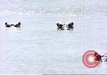 Image hippopotames l Afrique sub-saharienne, 1958, de la seconde 13 séquences d'archives historiques vidéo 65675058733