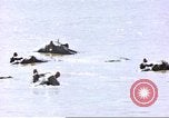 Image hippopotames l Afrique sub-saharienne, 1958, de la seconde 25 séquences d'archives historiques vidéo 65675058733