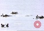 Image hippopotames l Afrique sub-saharienne, 1958, de la seconde 34 séquences d'archives historiques vidéo 65675058733