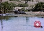 Image hippopotames l Afrique sub-saharienne, 1958, de la seconde 56 séquences d'archives historiques vidéo 65675058733