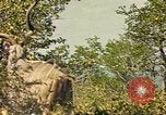 Image of gazelles Sub Saharan Africa, 1958, second 35 stock footage video 65675058734