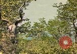 Image of gazelles Sub Saharan Africa, 1958, second 36 stock footage video 65675058734