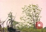 Image of gazelles Sub Saharan Africa, 1958, second 48 stock footage video 65675058734