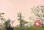 Image of gazelles Sub Saharan Africa, 1958, second 49 stock footage video 65675058734
