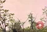 Image of gazelles Sub Saharan Africa, 1958, second 50 stock footage video 65675058734