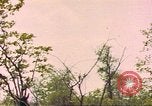 Image of gazelles Sub Saharan Africa, 1958, second 52 stock footage video 65675058734