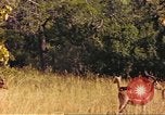 Image of gazelles Sub Saharan Africa, 1958, second 49 stock footage video 65675058735