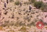 Image of gazelles Sub Saharan Africa, 1958, second 1 stock footage video 65675058736