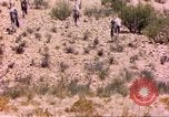 Image of gazelles Sub Saharan Africa, 1958, second 3 stock footage video 65675058736