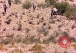 Image of gazelles Sub Saharan Africa, 1958, second 4 stock footage video 65675058736