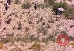 Image of gazelles Sub Saharan Africa, 1958, second 6 stock footage video 65675058736