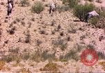 Image of gazelles Sub Saharan Africa, 1958, second 7 stock footage video 65675058736