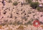 Image of gazelles Sub Saharan Africa, 1958, second 8 stock footage video 65675058736