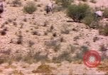 Image of gazelles Sub Saharan Africa, 1958, second 9 stock footage video 65675058736