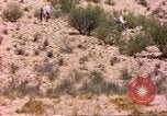 Image of gazelles Sub Saharan Africa, 1958, second 10 stock footage video 65675058736