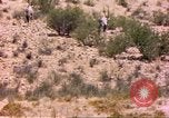 Image of gazelles Sub Saharan Africa, 1958, second 11 stock footage video 65675058736