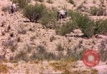 Image of gazelles Sub Saharan Africa, 1958, second 12 stock footage video 65675058736