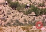Image of gazelles Sub Saharan Africa, 1958, second 13 stock footage video 65675058736