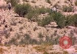 Image of gazelles Sub Saharan Africa, 1958, second 15 stock footage video 65675058736