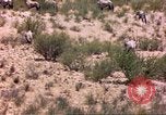 Image of gazelles Sub Saharan Africa, 1958, second 17 stock footage video 65675058736