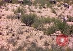 Image of gazelles Sub Saharan Africa, 1958, second 18 stock footage video 65675058736