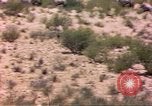 Image of gazelles Sub Saharan Africa, 1958, second 19 stock footage video 65675058736