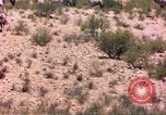 Image of gazelles Sub Saharan Africa, 1958, second 20 stock footage video 65675058736