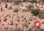 Image of gazelles Sub Saharan Africa, 1958, second 22 stock footage video 65675058736