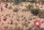 Image of gazelles Sub Saharan Africa, 1958, second 23 stock footage video 65675058736