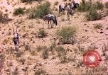 Image of gazelles Sub Saharan Africa, 1958, second 25 stock footage video 65675058736