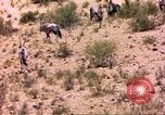 Image of gazelles Sub Saharan Africa, 1958, second 28 stock footage video 65675058736