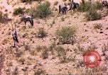 Image of gazelles Sub Saharan Africa, 1958, second 29 stock footage video 65675058736