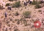 Image of gazelles Sub Saharan Africa, 1958, second 30 stock footage video 65675058736