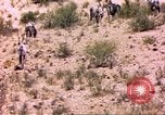 Image of gazelles Sub Saharan Africa, 1958, second 31 stock footage video 65675058736