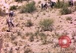 Image of gazelles Sub Saharan Africa, 1958, second 32 stock footage video 65675058736
