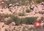 Image of gazelles Sub Saharan Africa, 1958, second 35 stock footage video 65675058736