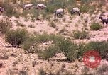 Image of gazelles Sub Saharan Africa, 1958, second 37 stock footage video 65675058736