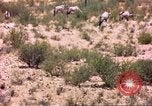 Image of gazelles Sub Saharan Africa, 1958, second 39 stock footage video 65675058736