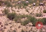Image of gazelles Sub Saharan Africa, 1958, second 41 stock footage video 65675058736