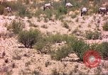 Image of gazelles Sub Saharan Africa, 1958, second 42 stock footage video 65675058736