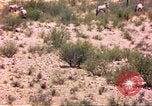 Image of gazelles Sub Saharan Africa, 1958, second 44 stock footage video 65675058736
