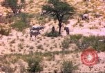 Image of gazelles Sub Saharan Africa, 1958, second 47 stock footage video 65675058736