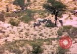 Image of gazelles Sub Saharan Africa, 1958, second 48 stock footage video 65675058736