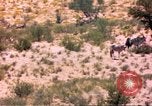 Image of gazelles Sub Saharan Africa, 1958, second 50 stock footage video 65675058736