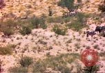 Image of gazelles Sub Saharan Africa, 1958, second 51 stock footage video 65675058736