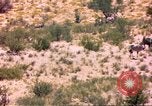 Image of gazelles Sub Saharan Africa, 1958, second 52 stock footage video 65675058736