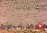 Image of gazelles Sub Saharan Africa, 1958, second 56 stock footage video 65675058736