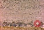 Image of gazelles Sub Saharan Africa, 1958, second 58 stock footage video 65675058736