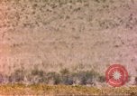 Image of gazelles Sub Saharan Africa, 1958, second 59 stock footage video 65675058736