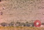 Image of gazelles Sub Saharan Africa, 1958, second 60 stock footage video 65675058736